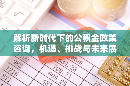 全州解析新时代下的公积金政策咨询，机遇、挑战与未来展望