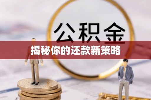 全州揭秘你的还款新策略