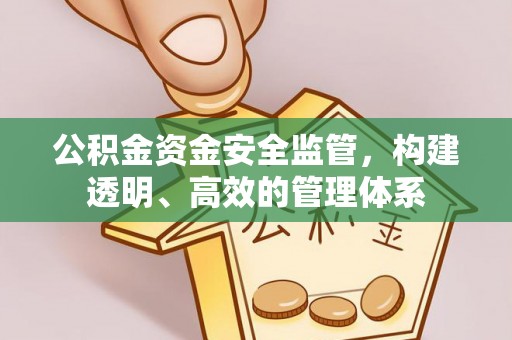 全州公积金资金安全监管，构建透明、高效的管理体系