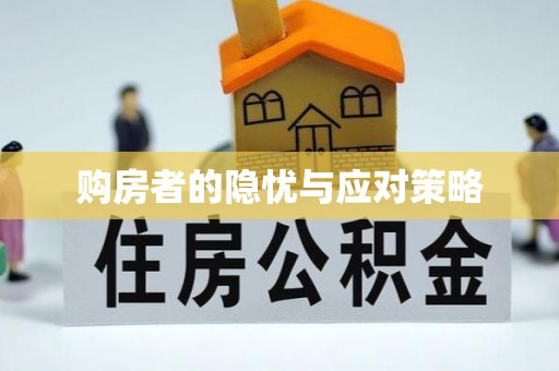全州购房者的隐忧与应对策略