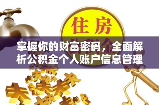 全州掌握你的财富密码，全面解析公积金个人账户信息管理与优化