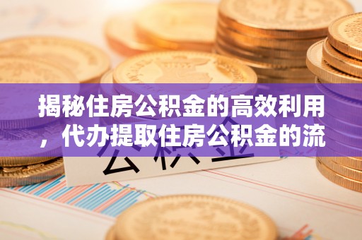 全州揭秘住房公积金的高效利用，代办提取住房公积金的流程与技巧