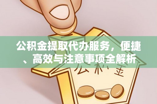 全州公积金提取代办服务，便捷、高效与注意事项全解析