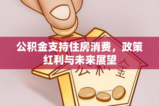 全州公积金支持住房消费，政策红利与未来展望