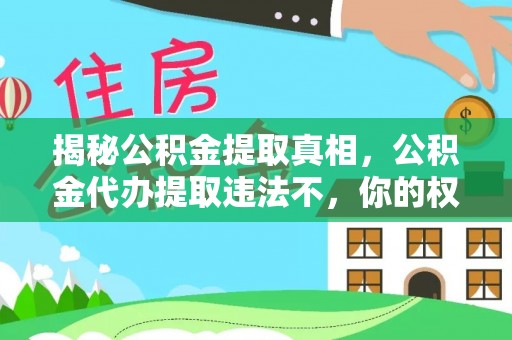 全州揭秘公积金提取真相，公积金代办提取违法不，你的权益如何保障？