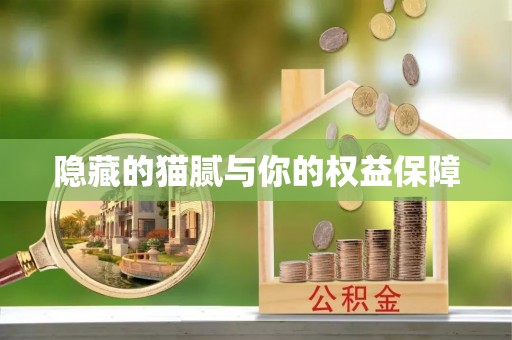全州隐藏的猫腻与你的权益保障
