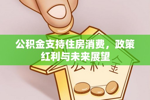 全州公积金支持住房消费，政策红利与未来展望