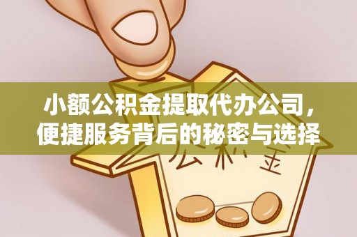 全州小额公积金提取代办公司，便捷服务背后的秘密与选择指南