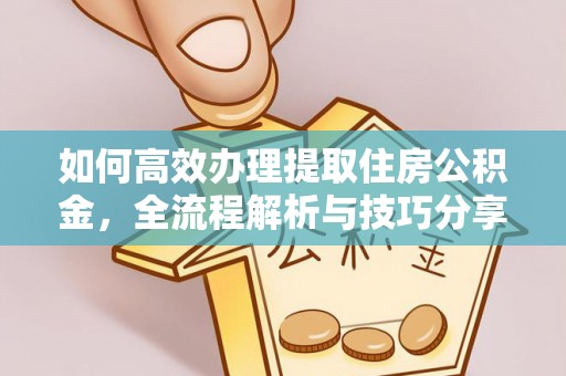 全州如何高效办理提取住房公积金，全流程解析与技巧分享