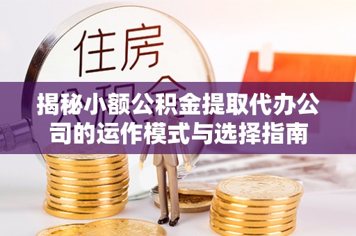全州揭秘小额公积金提取代办公司的运作模式与选择指南