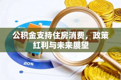 全州公积金支持住房消费，政策红利与未来展望