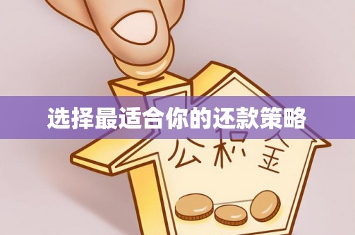 全州选择最适合你的还款策略